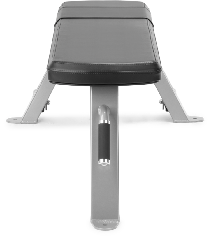 FreeMotion EF201 Flat Bench
