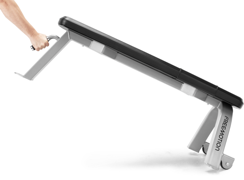 FreeMotion EF201 Flat Bench
