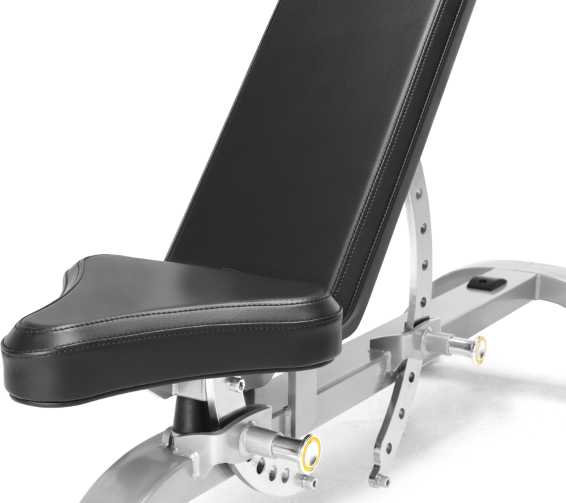 FreeMotion EF203 Adjustable Bench