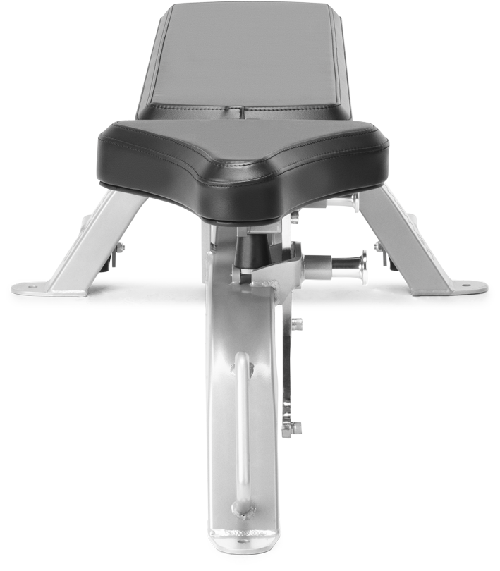 FreeMotion EF203 Adjustable Bench