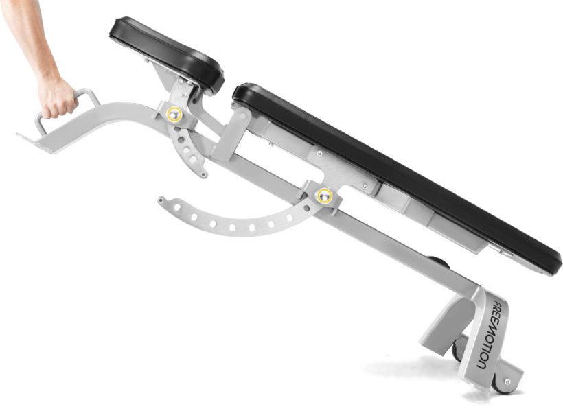FreeMotion EF203 Adjustable Bench