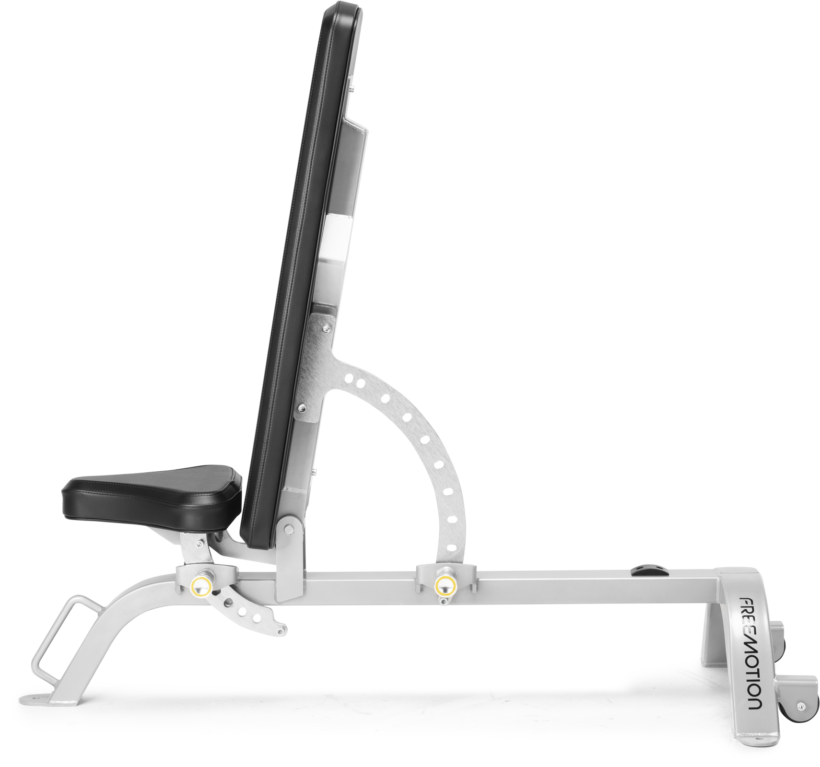 FreeMotion EF203 Adjustable Bench