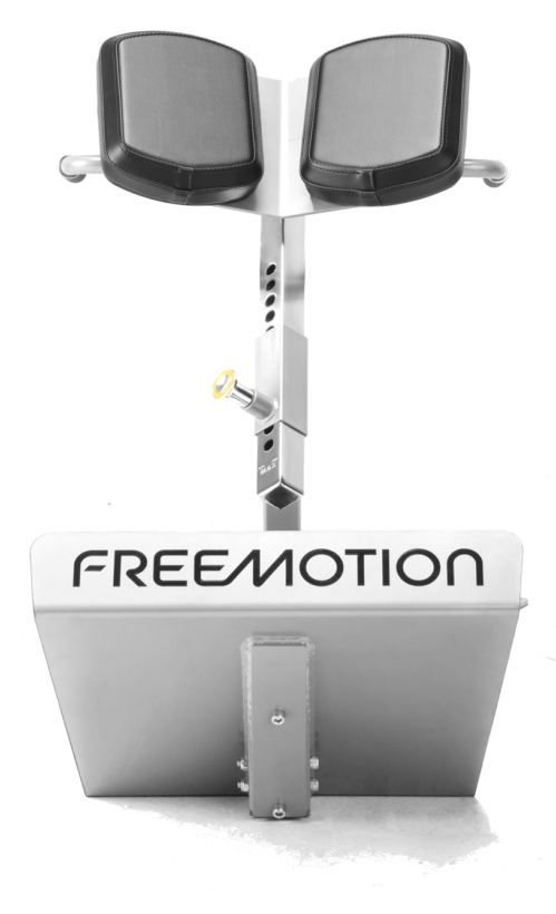 FreeMotion EF206 45° Back Extension