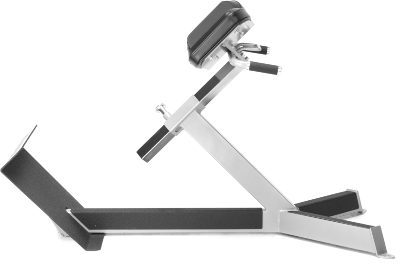 FreeMotion EF206 45° Back Extension