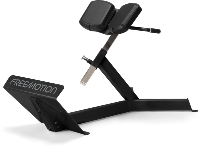 FreeMotion EF206 45° Back Extension