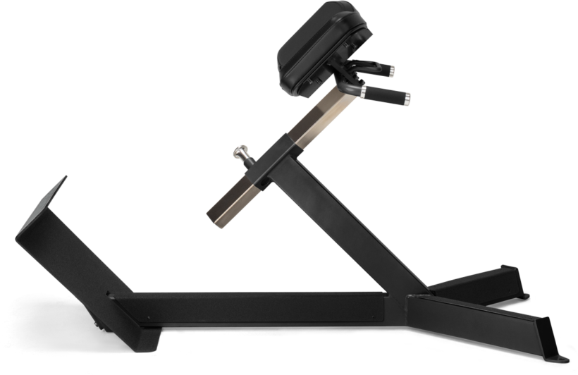 FreeMotion EF206 45° Back Extension