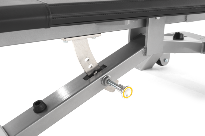 FreeMotion EF213 Abdominal Bench