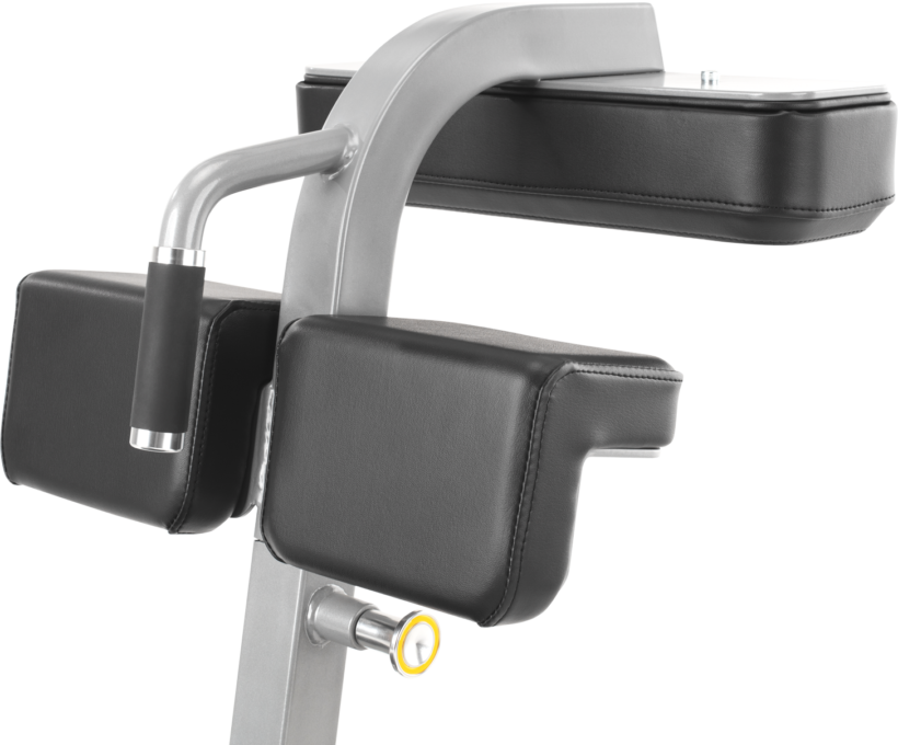 FreeMotion EF213 Abdominal Bench