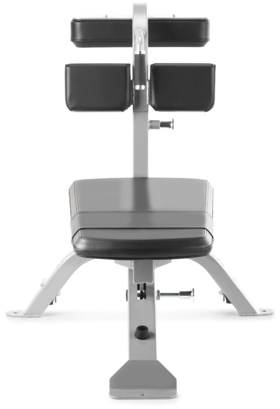 FreeMotion EF213 Abdominal Bench