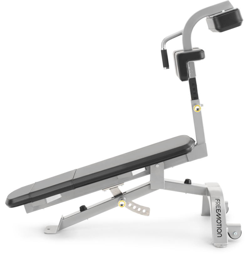 FreeMotion EF213 Abdominal Bench