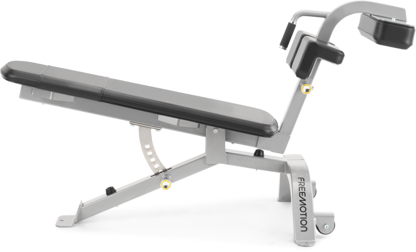 FreeMotion EF213 Abdominal Bench
