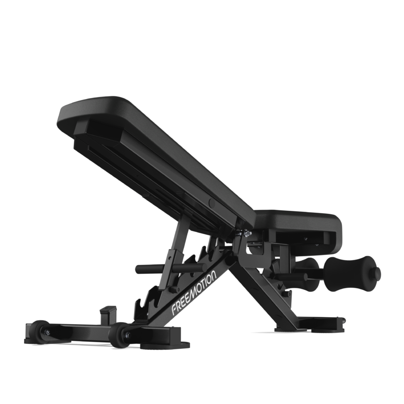 FreeMotion FMDY509063 FID Bench