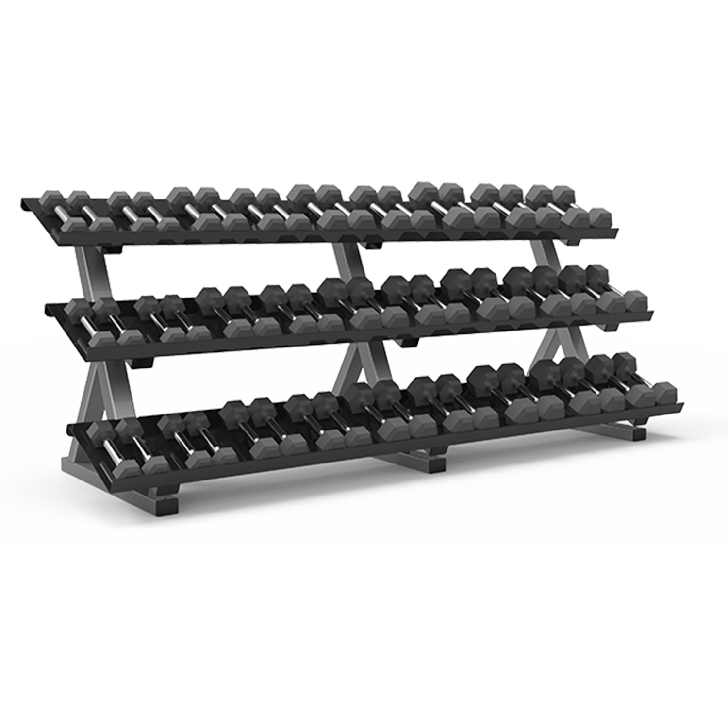 FreeMotion DUMBBELL RACK (FLAT)