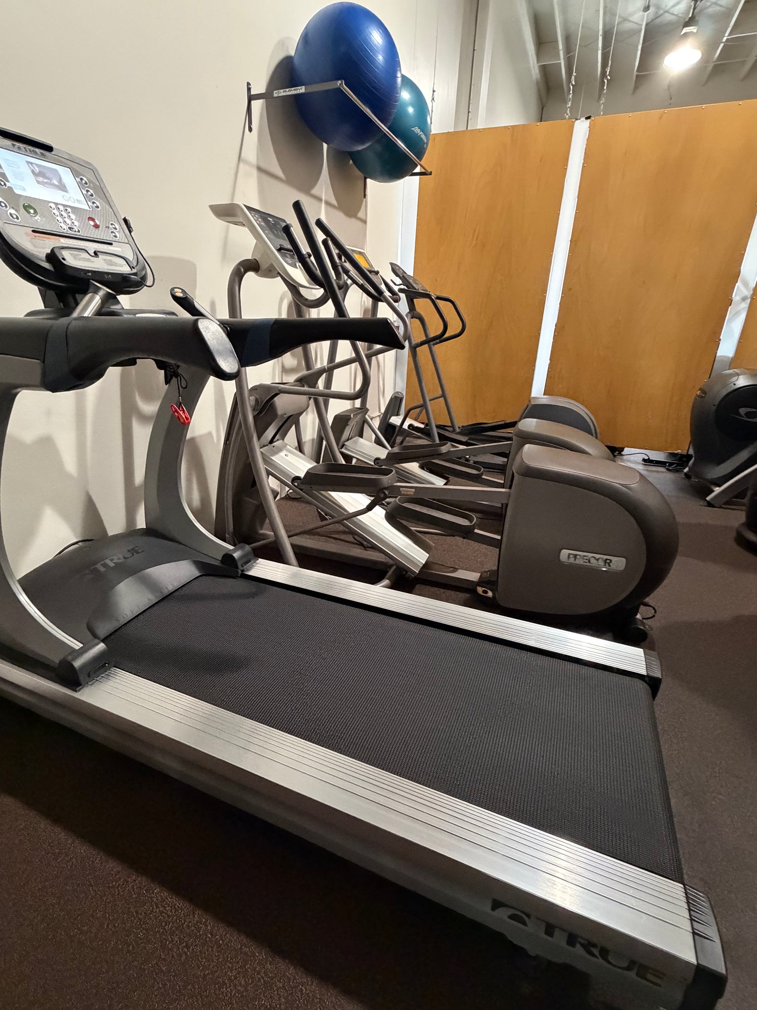 True ES900 Treadmill