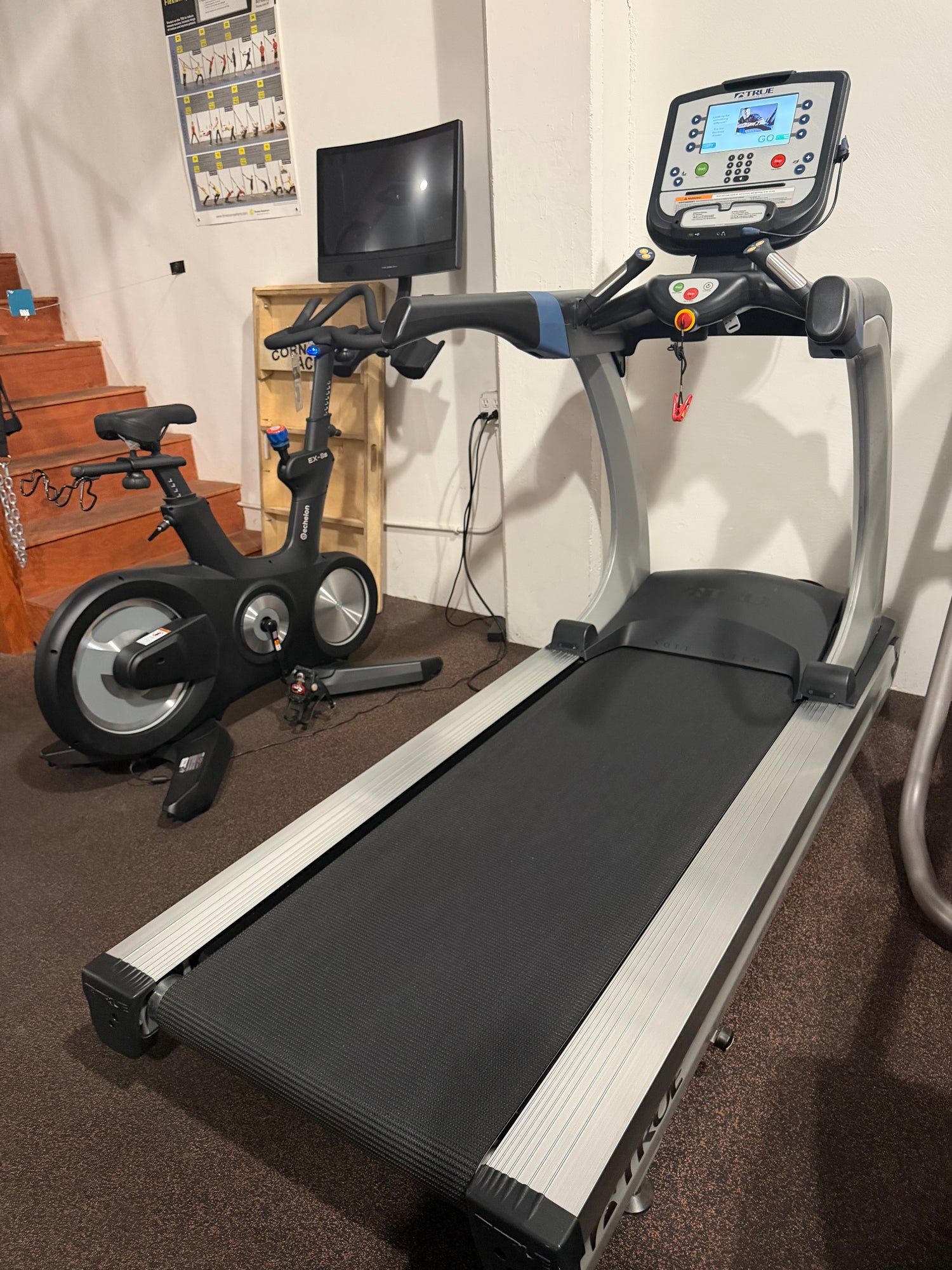 True ES900 Treadmill