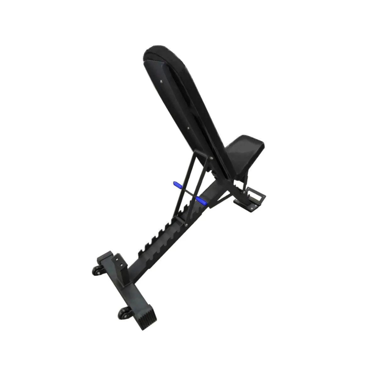 Paradigm PRO F.I.D. Bench