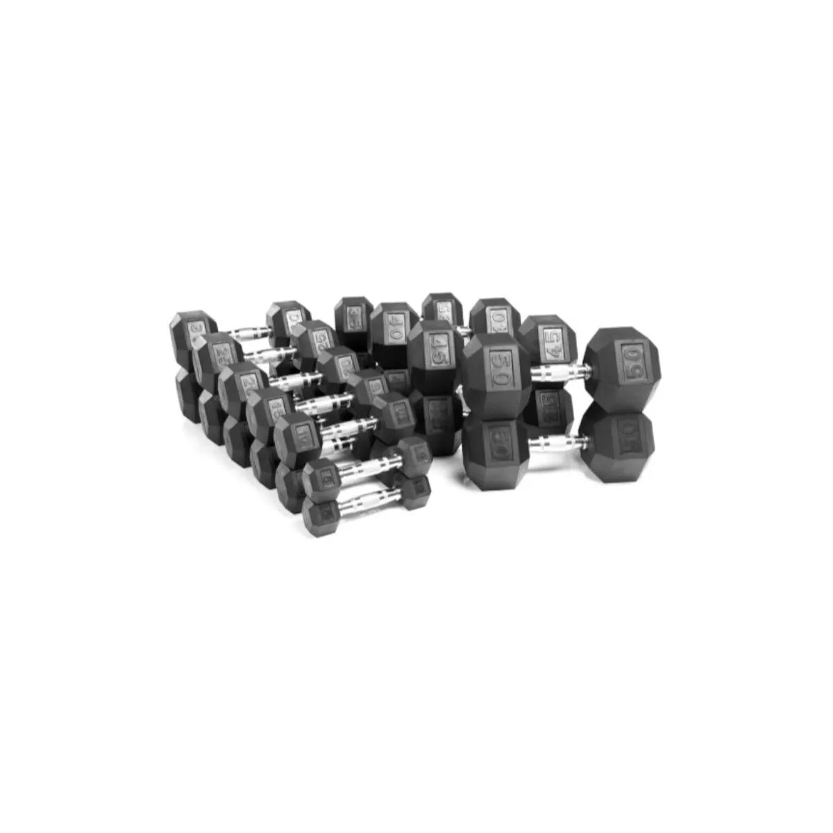 Paradigm Rubber Hex Dumbbell Sets