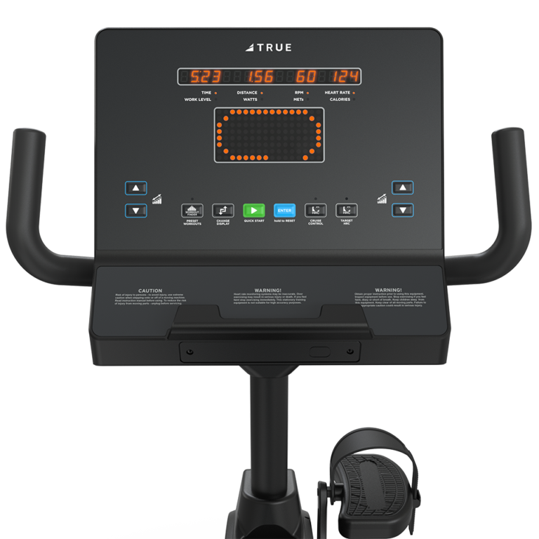 True Fitness Performance Series Recumbent Bike