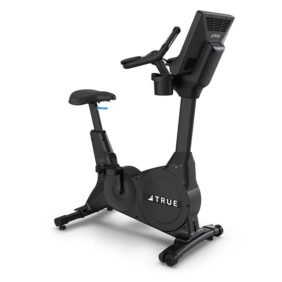 True Fitness Gravity Upright Bike
