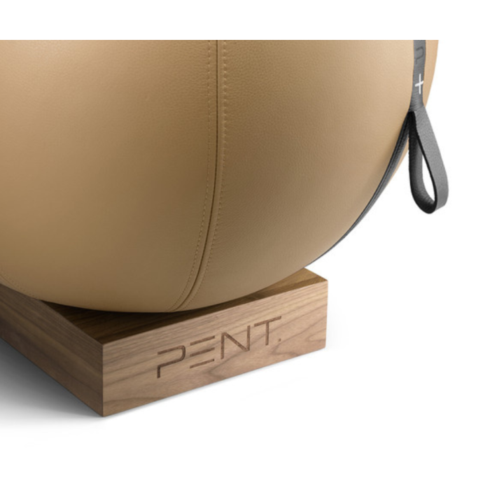 MESNA Exercise Sitting Ball