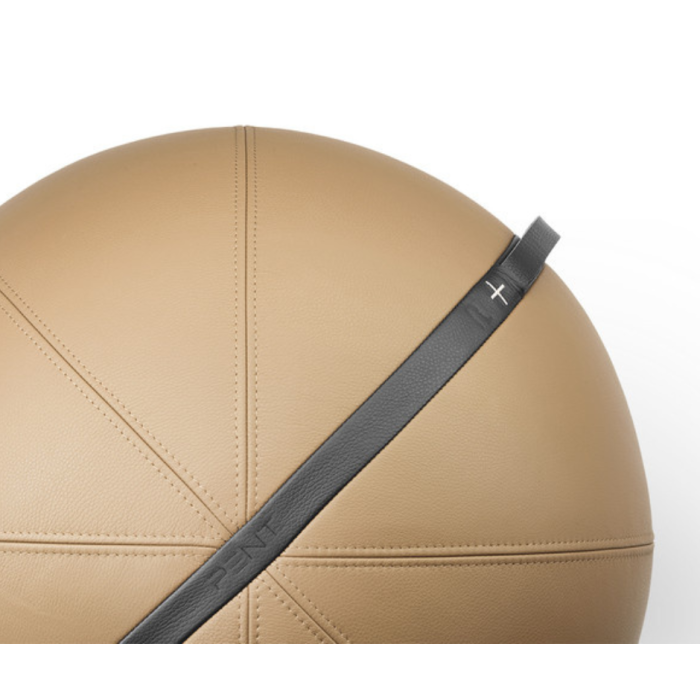 MESNA Exercise Sitting Ball