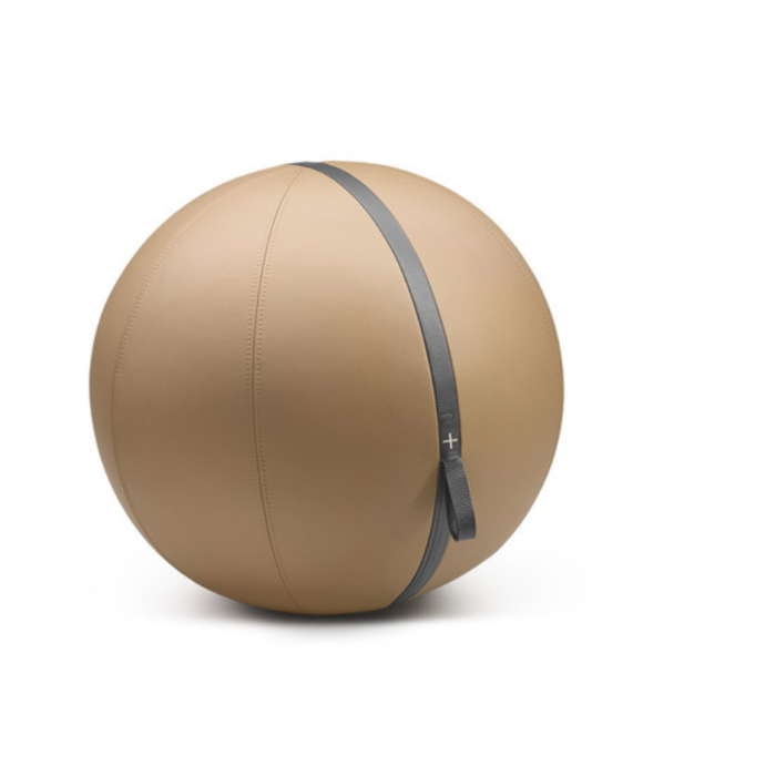 MESNA Exercise Sitting Ball