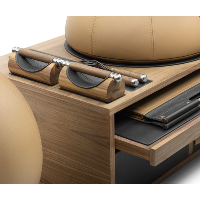 LIPOVA Push-Up Handlebars