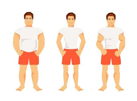 Endomorph vs. Ectomorph vs. Mesomorph