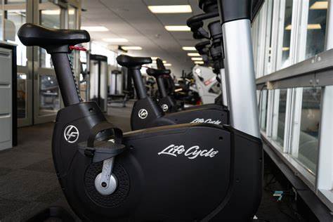 Upright/ Recumbent Bike
