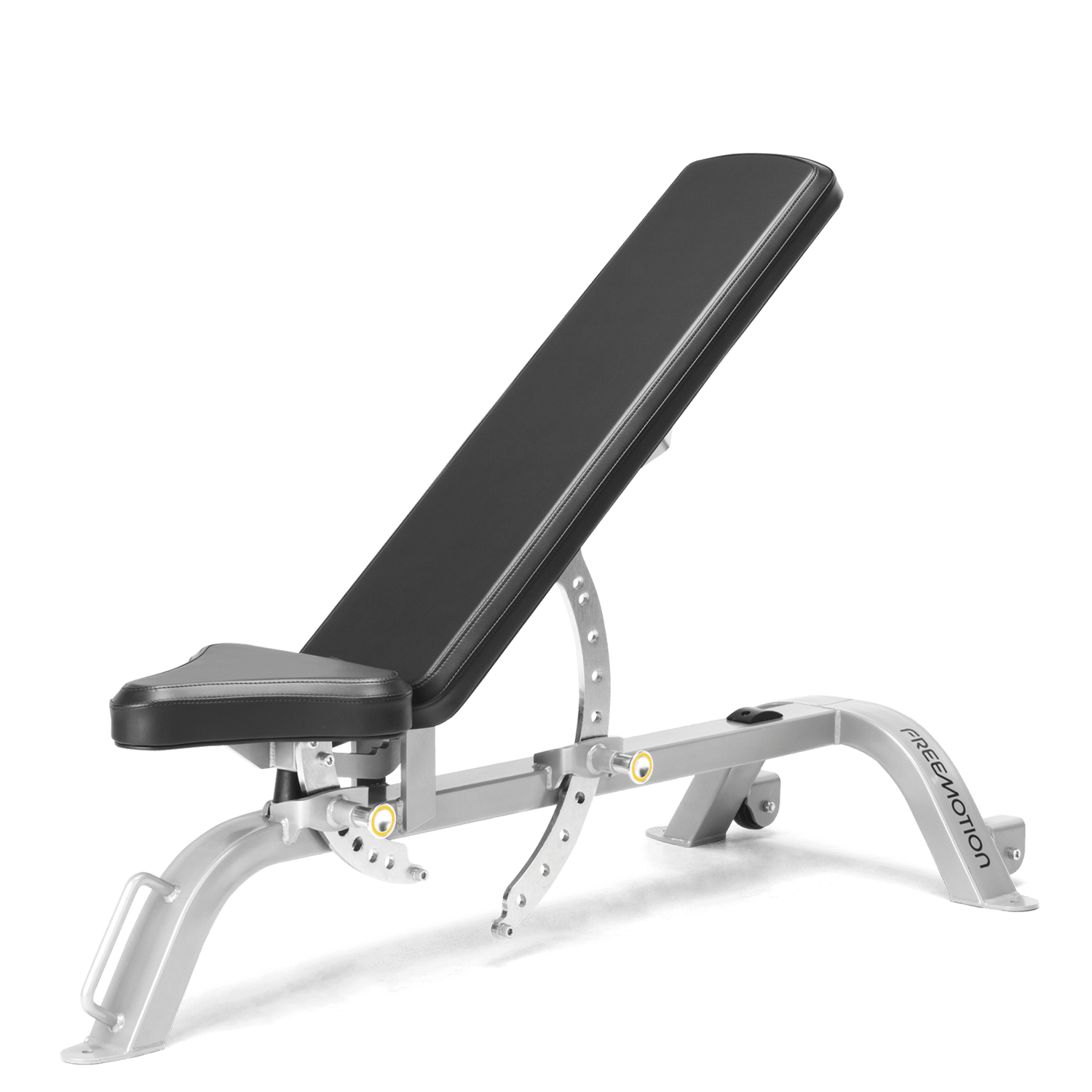 FreeMotion EF203 Adjustable Bench