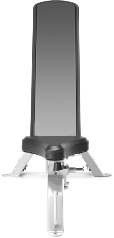 FreeMotion EF203 Adjustable Bench
