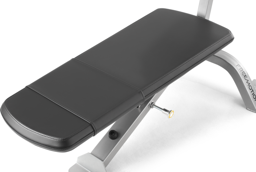 FreeMotion EF213 Abdominal Bench