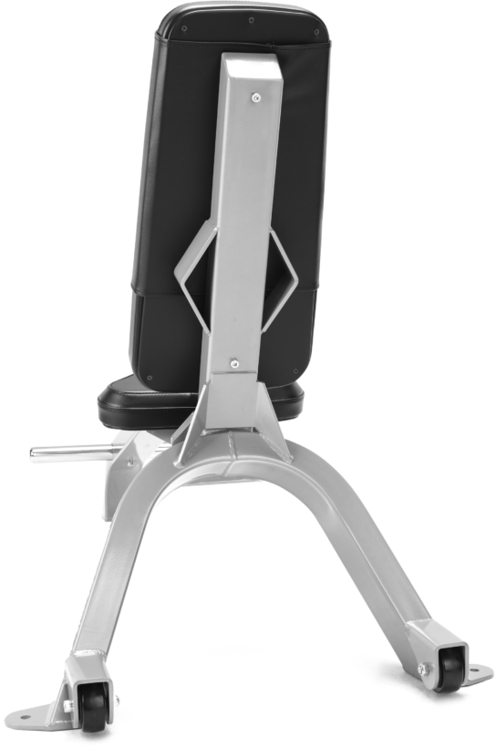 FreeMotion EF204 Utility Bench