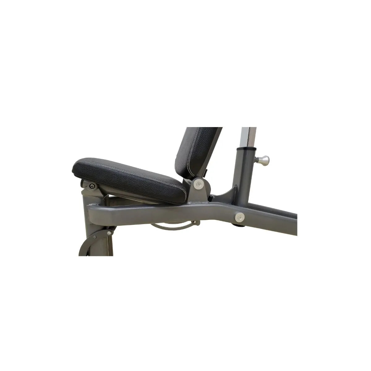 Paradigm F.I. Auto Bench