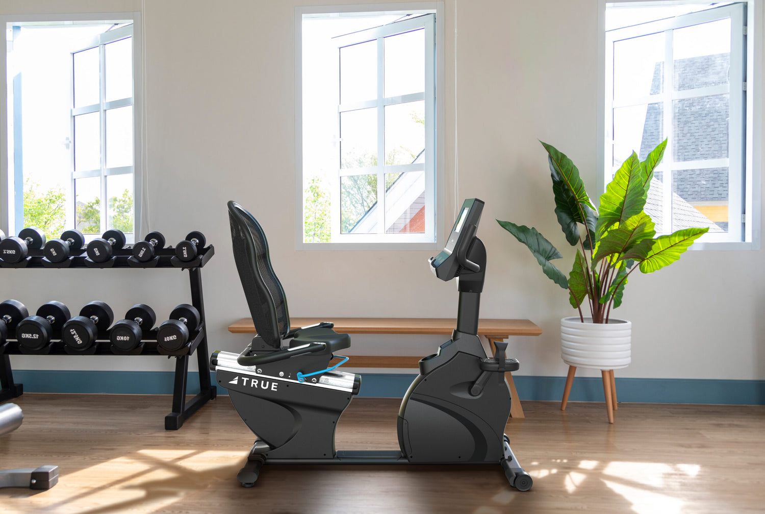 True Fitness Performance Series Recumbent Bike