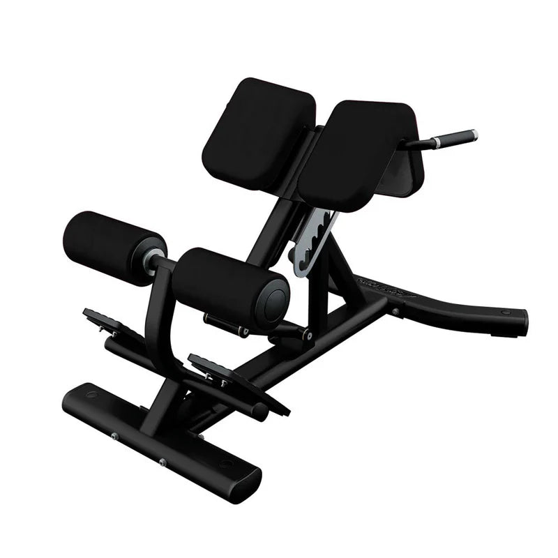 Life Fitness Back Extension